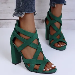 Sumptuous Suede Zipper Back High Block Heel Shoes